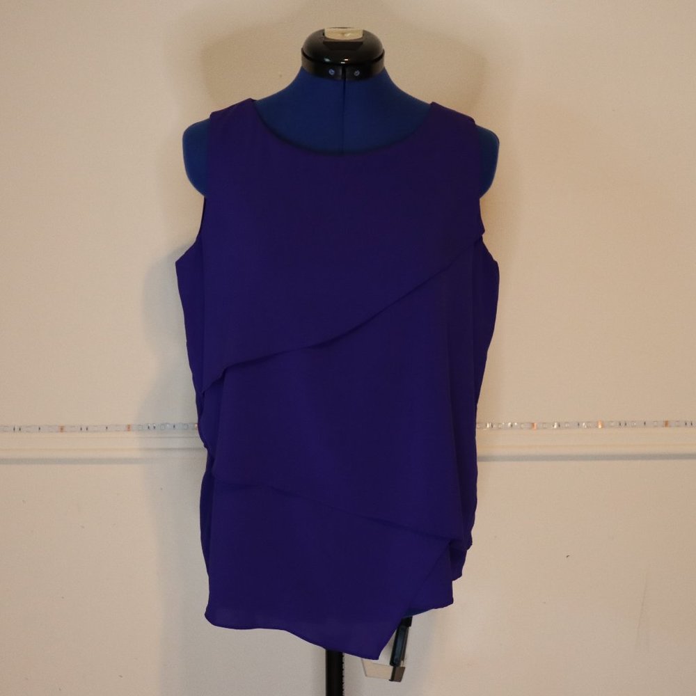 Calvin Klein blue ruffle blouse